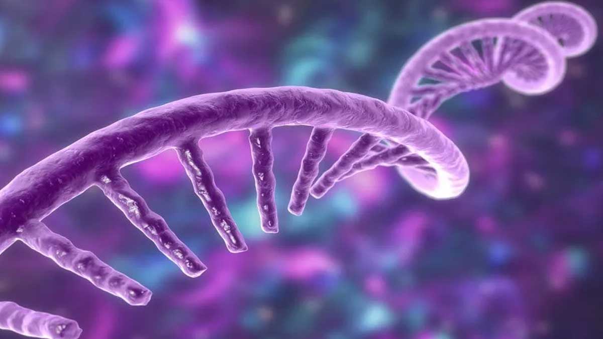 An image of DNA